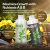 image:imageVIVOSUN Supply Box for VGrow Smart Grow Box