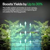 image:imageVIVOSUN YieldNet Trellis Net for VGrow Smart Grow Box 1 x 1 ft