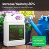 image:imageVIVOSUN AllinOne Concentrated Plant Additive NutriBoost 001 AllPurpose Liquid Fertilizer and Bloom Juice 064 Flowering Supplement Liquid Fertilizer for Flowering Stage Concentrated Plant