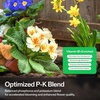 image:imageVIVOSUN AllinOne Concentrated Plant Additive NutriBoost 001 AllPurpose Liquid Fertilizer and Bloom Juice 064 Flowering Supplement Liquid Fertilizer for Flowering Stage Concentrated Plant