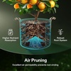 image:imageVIVOSUN 5Pack 3 Gallons Grow Bags Heavy Duty Thickened Nonwoven Fabric Pots and 6 Pack Plant Saucer 8 10 12 inch Plant Saucers for Indoor Heavy Duty Plastic Plant Trays for pots Grow Bag