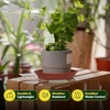 image:imageVIVOSUN 5Pack 3 Gallons Grow Bags Heavy Duty Thickened Nonwoven Fabric Pots and 6 Pack Plant Saucer 8 10 12 inch Plant Saucers for Indoor Heavy Duty Plastic Plant Trays for pots Grow Bag
