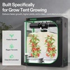 image:imageVIVOSUN FlexFeed DWC Hydroponic System Kit Deep Water Culture Grow Kit2 Buckets  Smart Controller