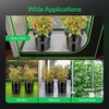 image:imageVIVOSUN FlexFeed DWC Hydroponic System Kit Deep Water Culture Grow Kit2 Buckets  Top Drip Kit