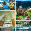 image:imageVIVOSUN 12PCS 1 Inch Air Stones for Aquarium Air Pump Fish Tank1 inchCylindrical