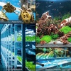 image:imageVIVOSUN 12PCS 1 Inch Air Stones for Aquarium Air Pump Fish Tank8 inchRound Pack of 2